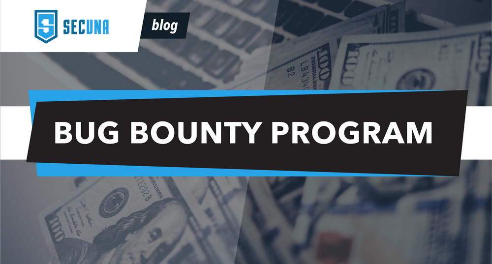 what-is-a-bug-bounty-program