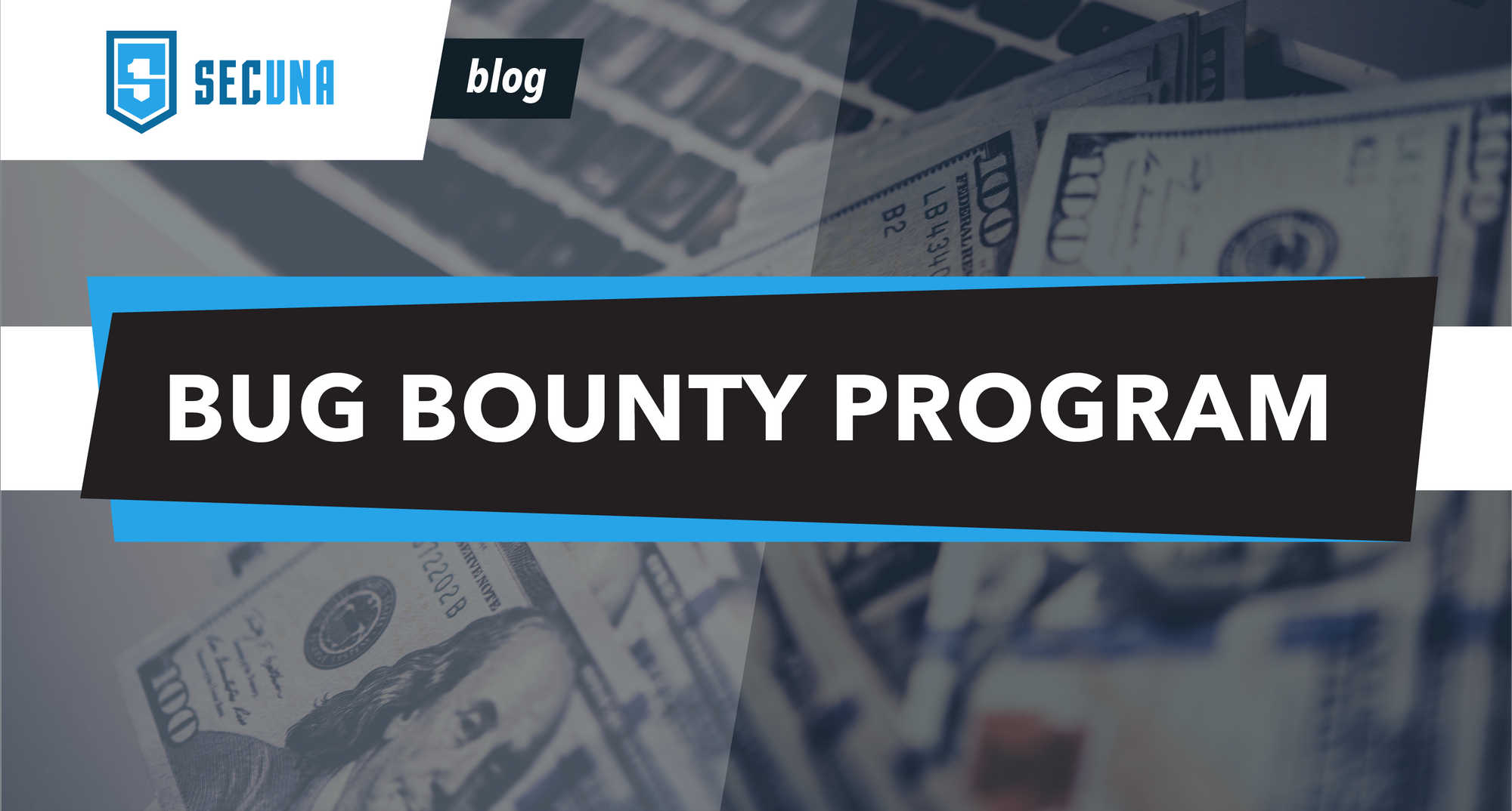 What is a Bug Bounty Program?